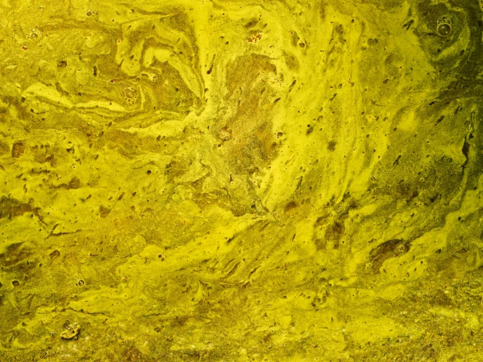 a close up of a rock